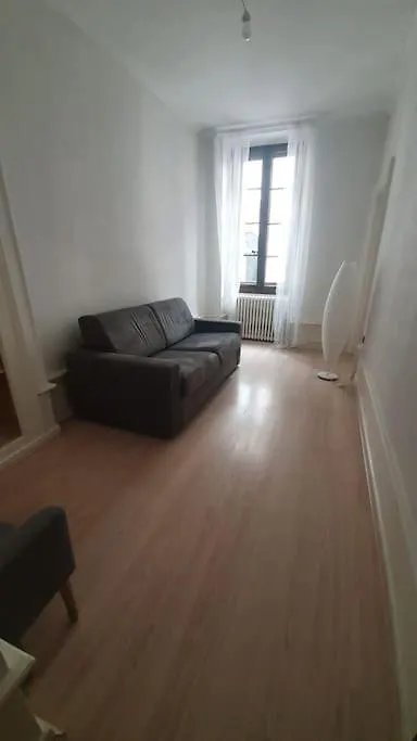 L'Authentique Et Spacieux - Vieille Ville Annecy Apartment