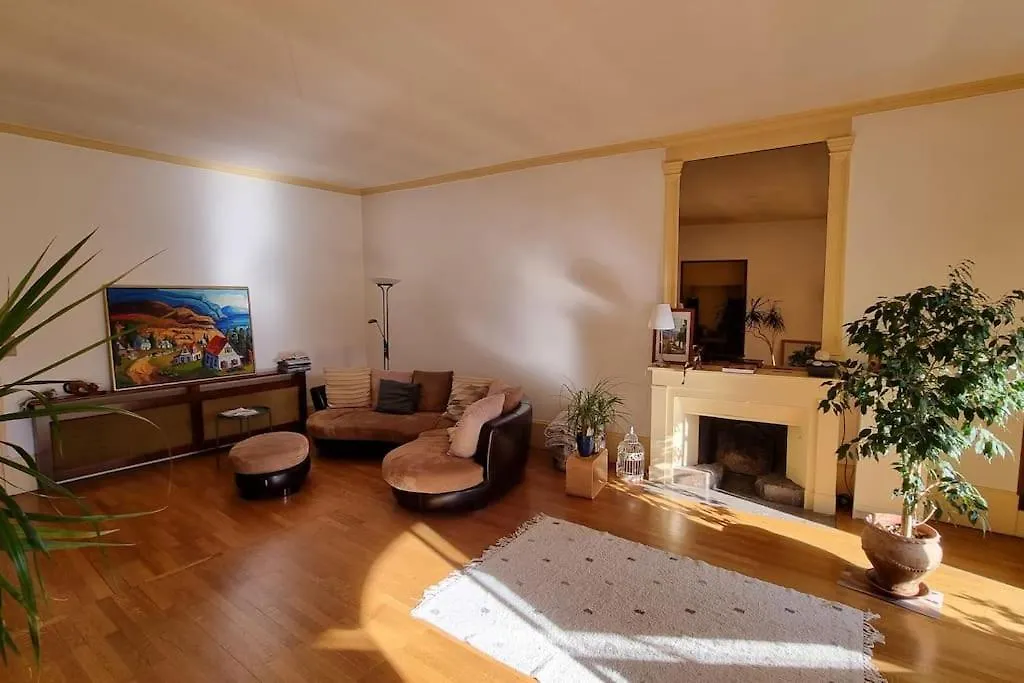 L'Authentique Et Spacieux - Vieille Ville Annecy Apartment